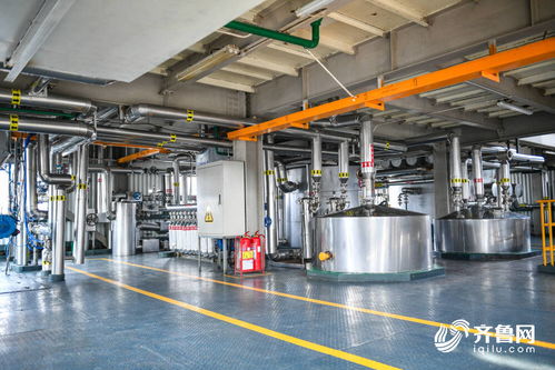 濱州 糧油金三角 糧安記者行走進(jìn)香馳控股 渤海實(shí)業(yè)