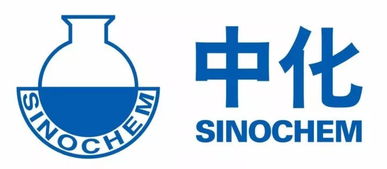 國企改革新進展 多家石油企業(yè)入圍‘雙百行動’，百墩實業(yè)展現(xiàn)新活力